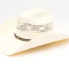 Cody James Men's 20X Fancy Southwestern Bangora Western Straw Hat 